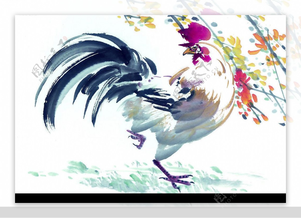 公鸡水墨画图片