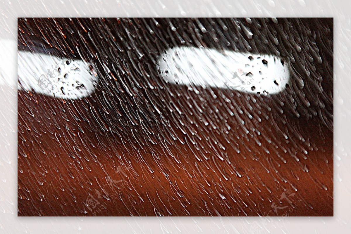 雨景雨滴玻璃图片