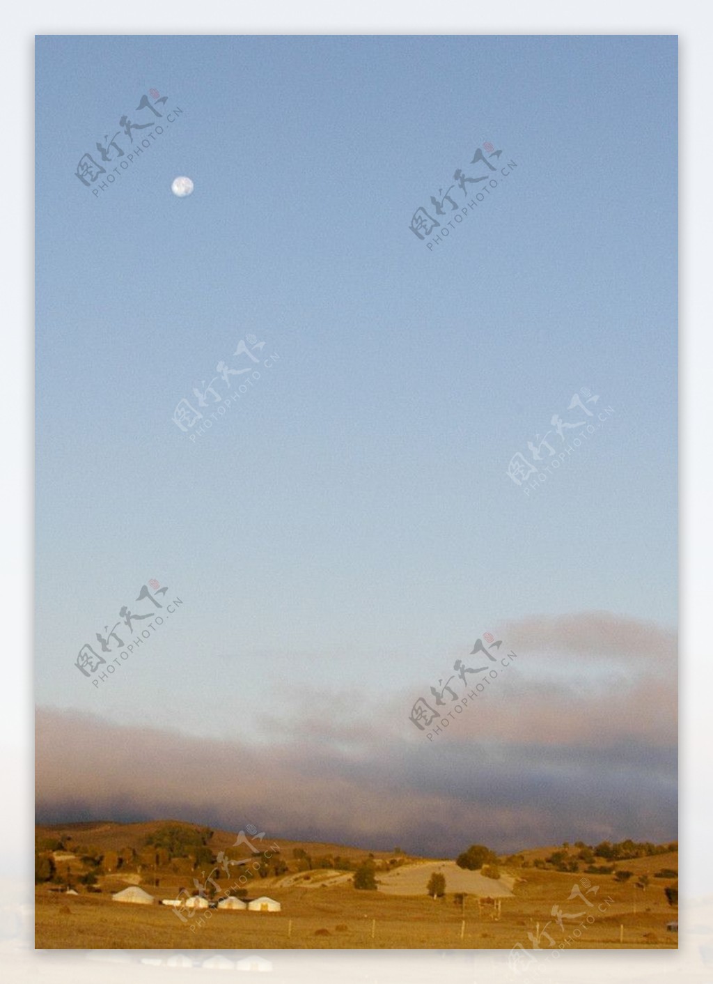 沙漠月亮图片