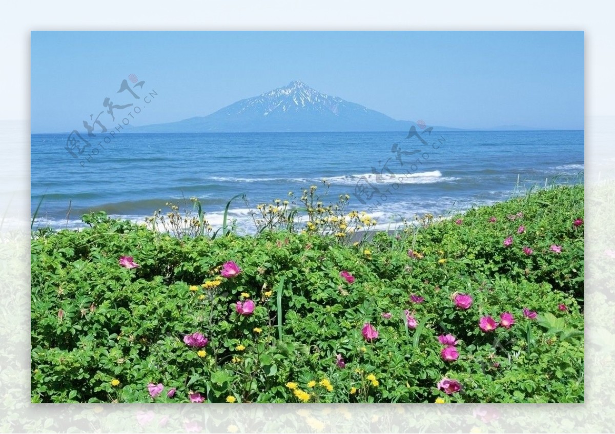 北海道春季美景图片