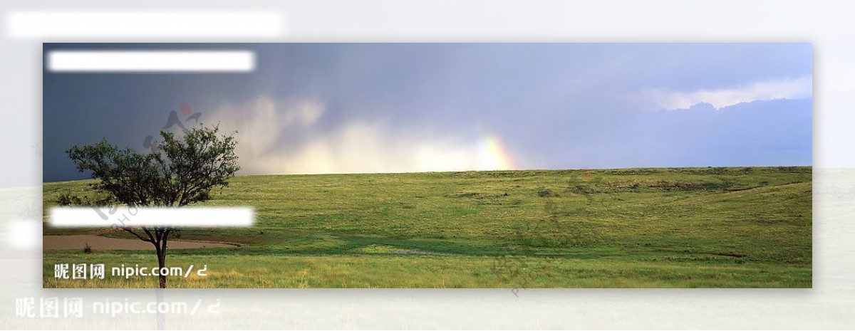 蓝天白云彩虹树草坪图片