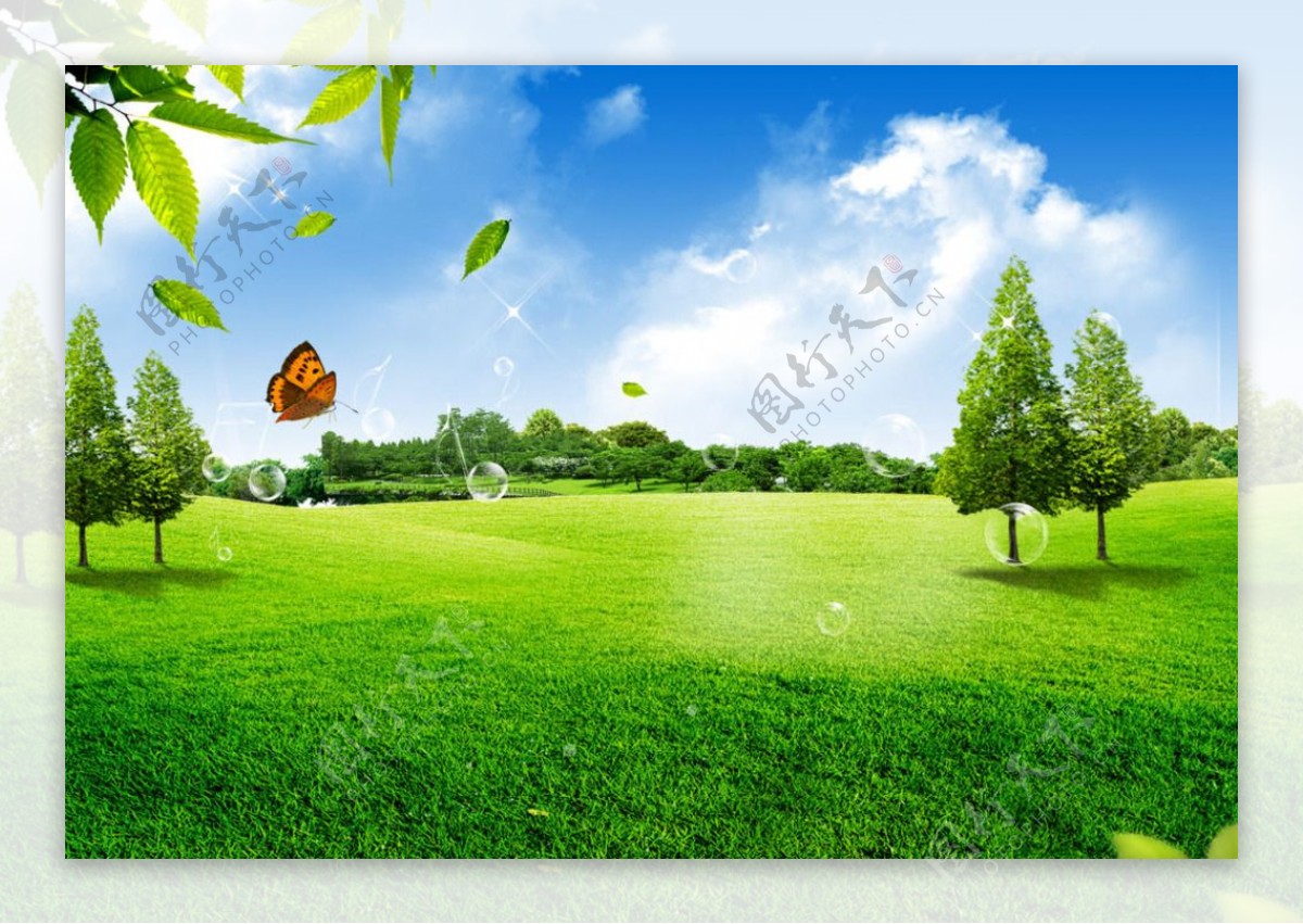 绿色草原美景图片