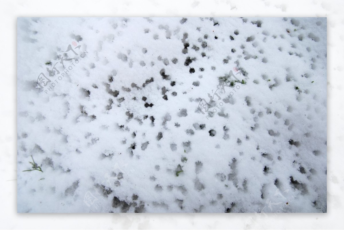 下雪雪景冬天图片