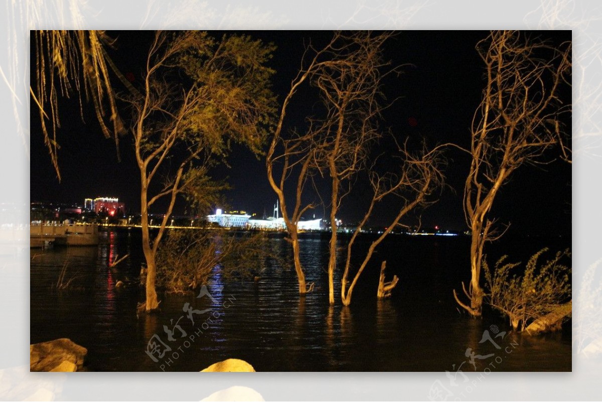 洱海之夜图片