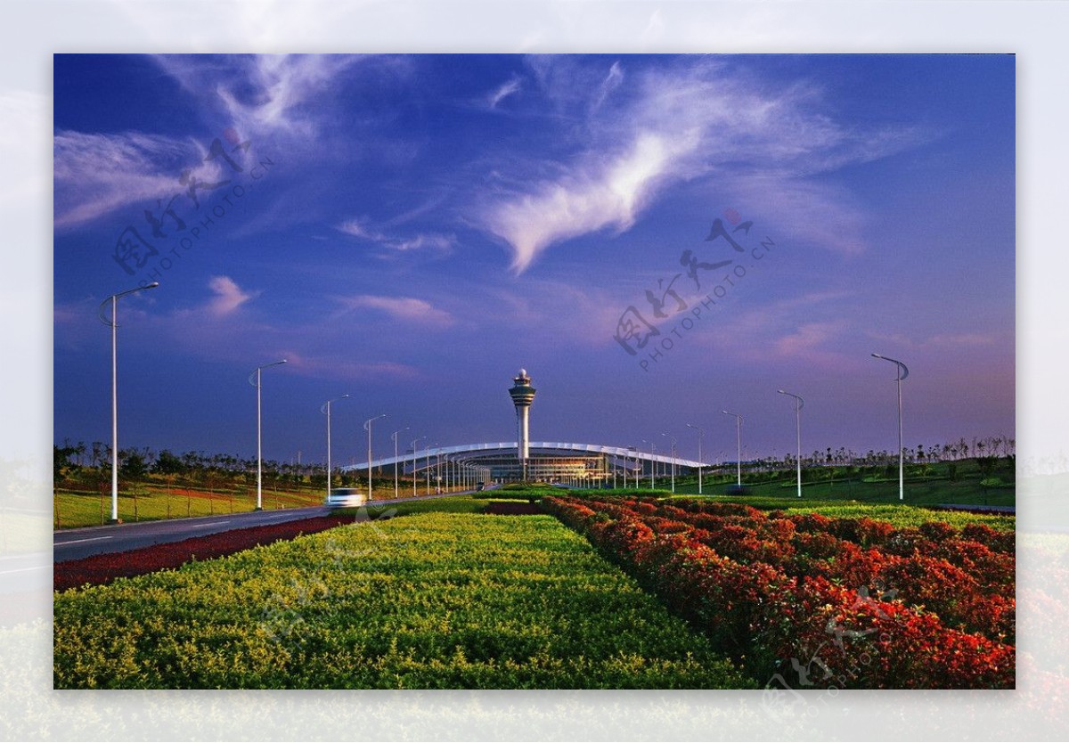 机场高速绿化图片