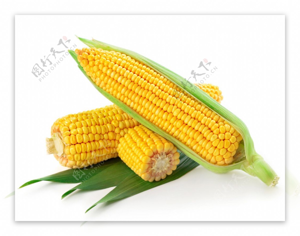 五谷杂粮玉米图片