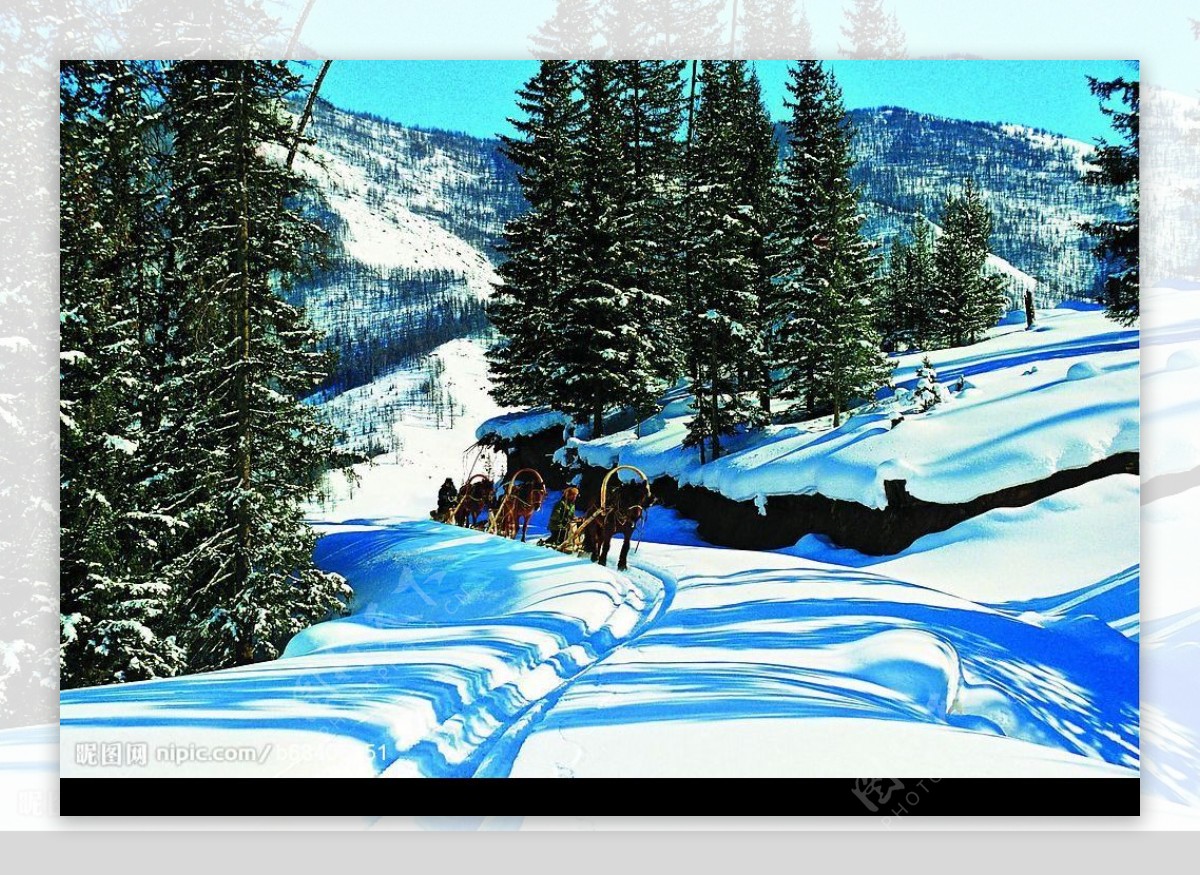 冬景迷人滑雪人家图片