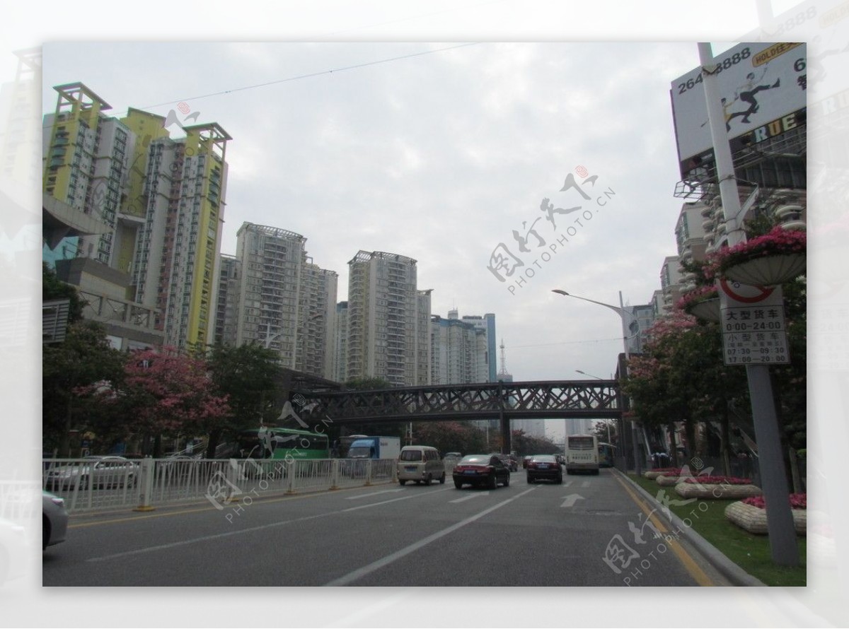 深圳蛇口街头图片