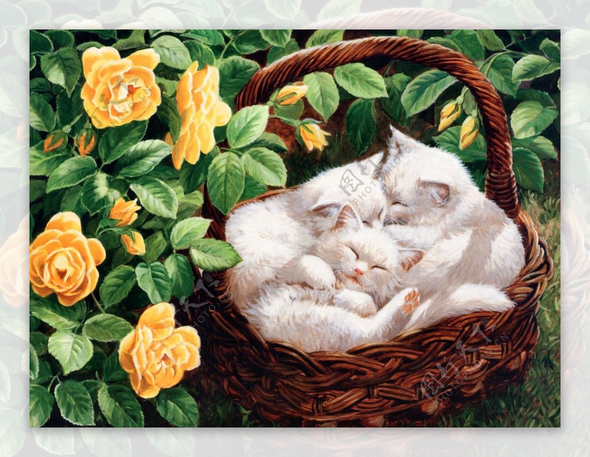 高清油画型猫图3图片