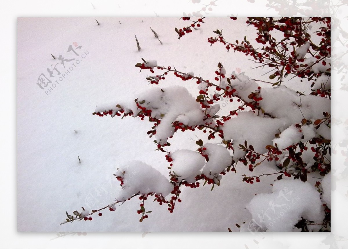 雪景图片