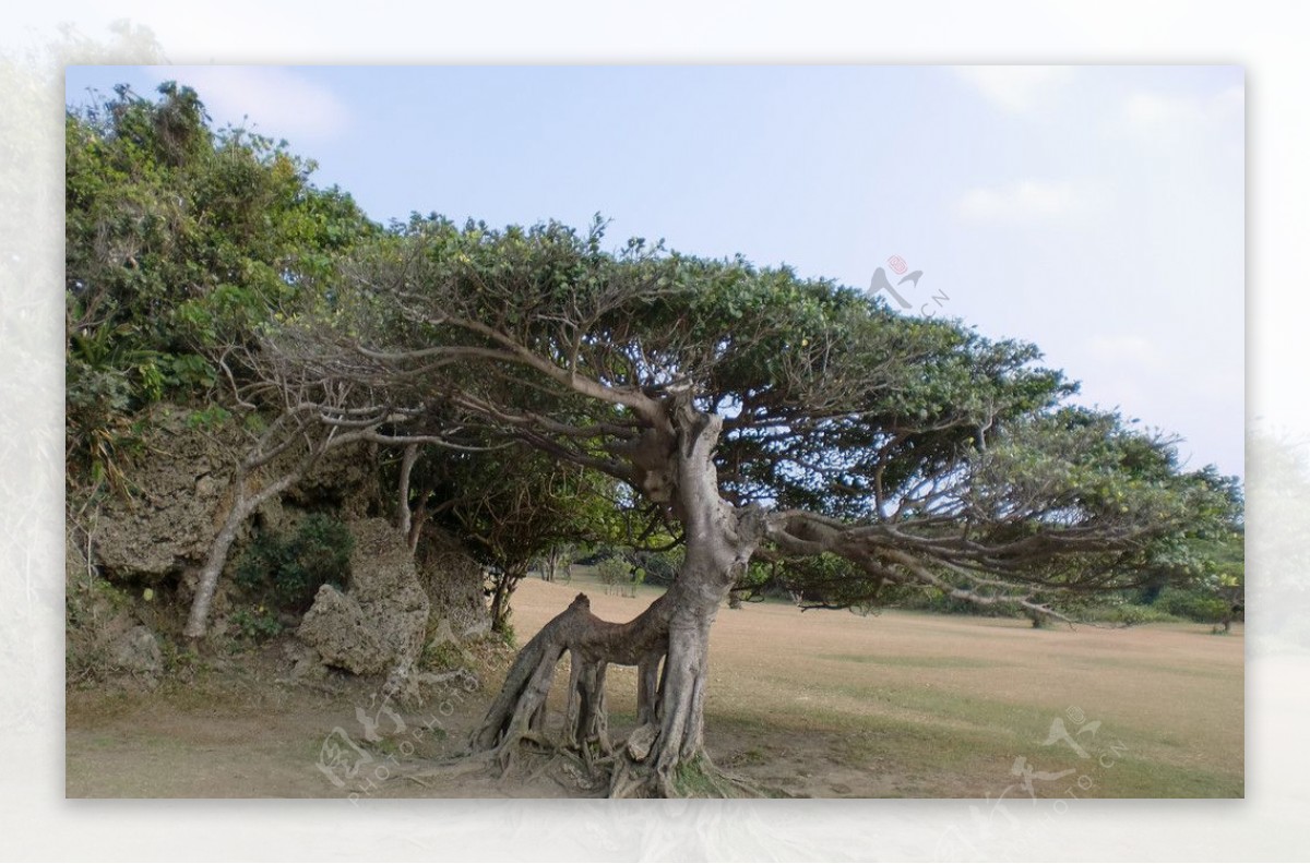 台湾鹅銮鼻自然公园图片