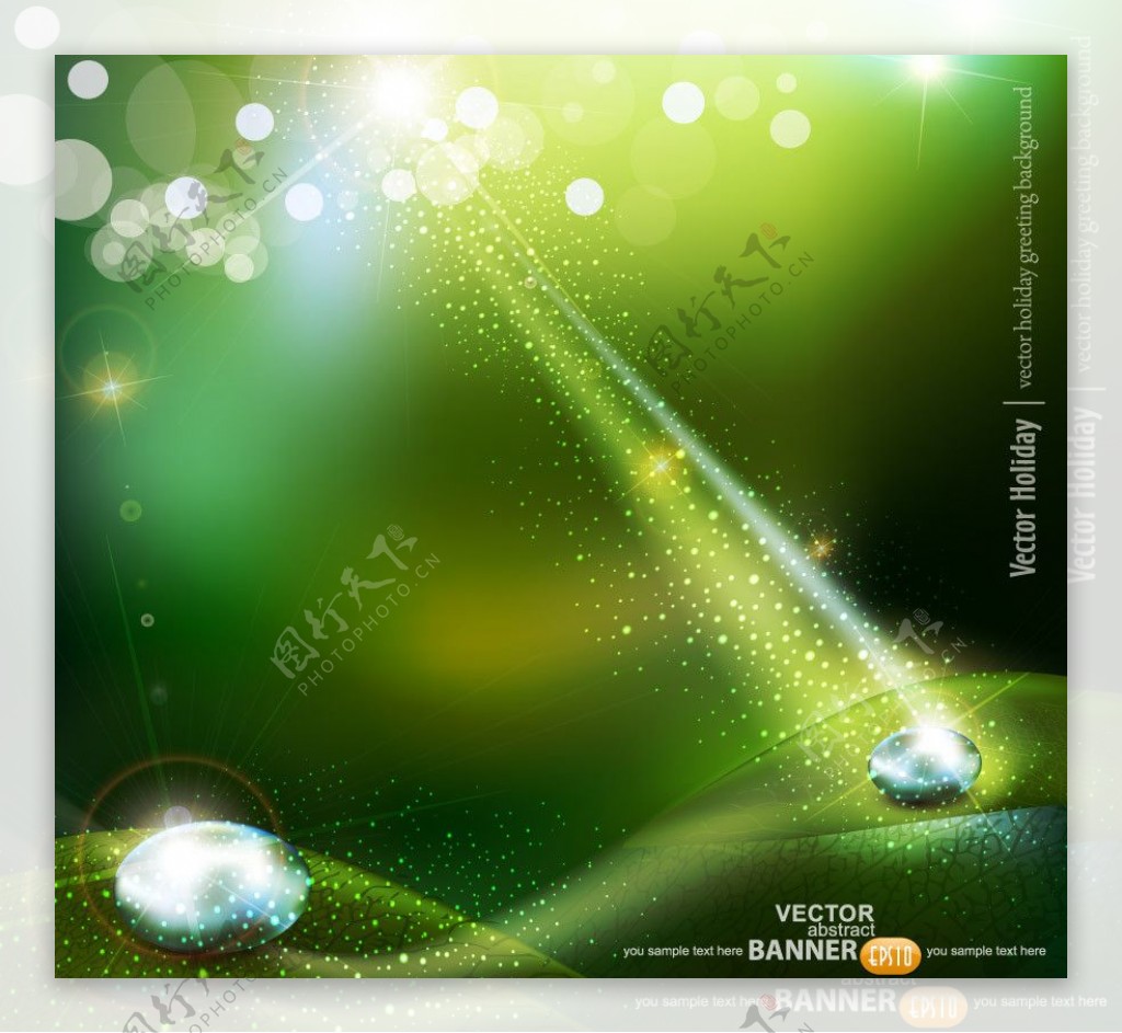 动感光线绿叶水珠水滴背景图片