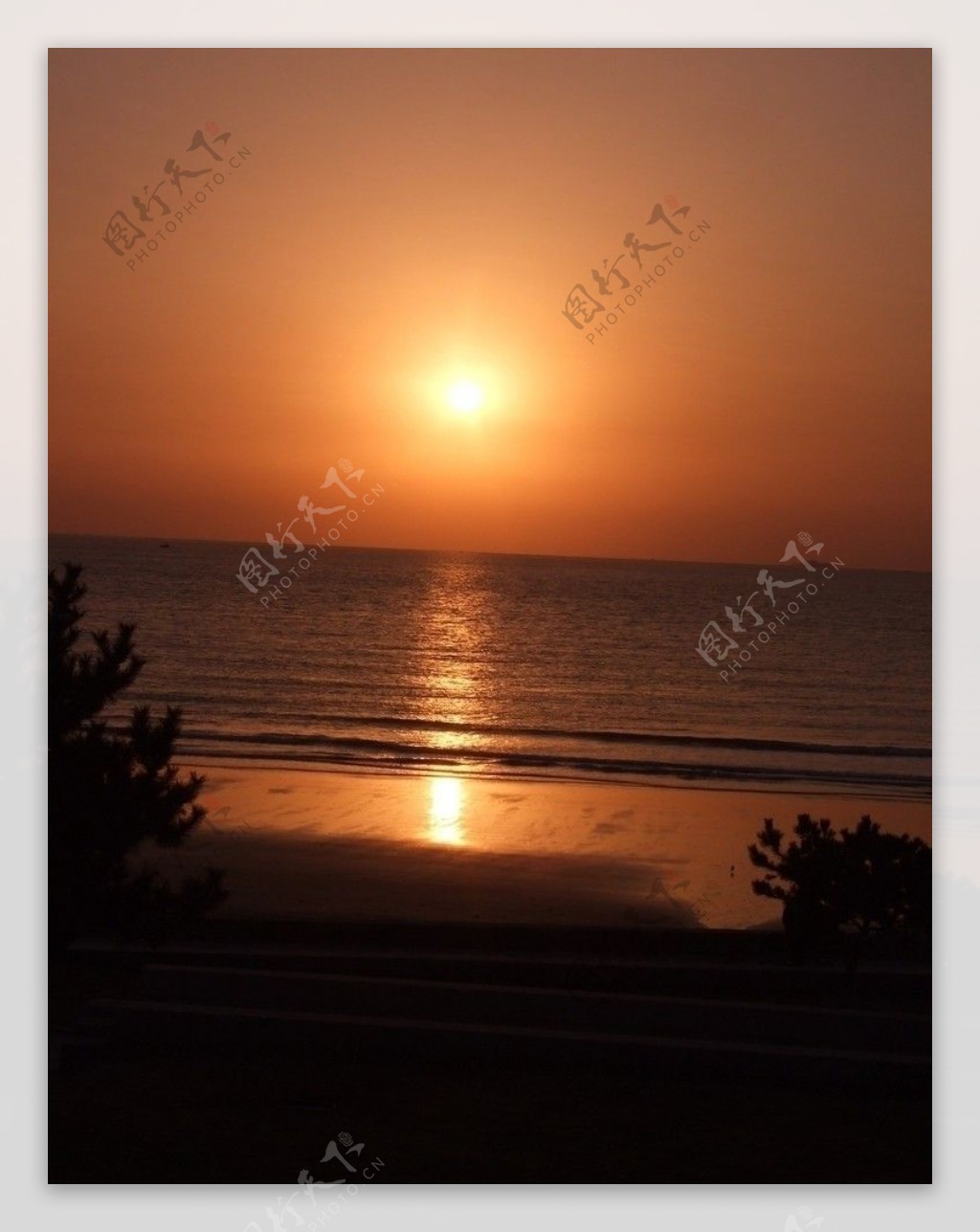 朝阳海景图片