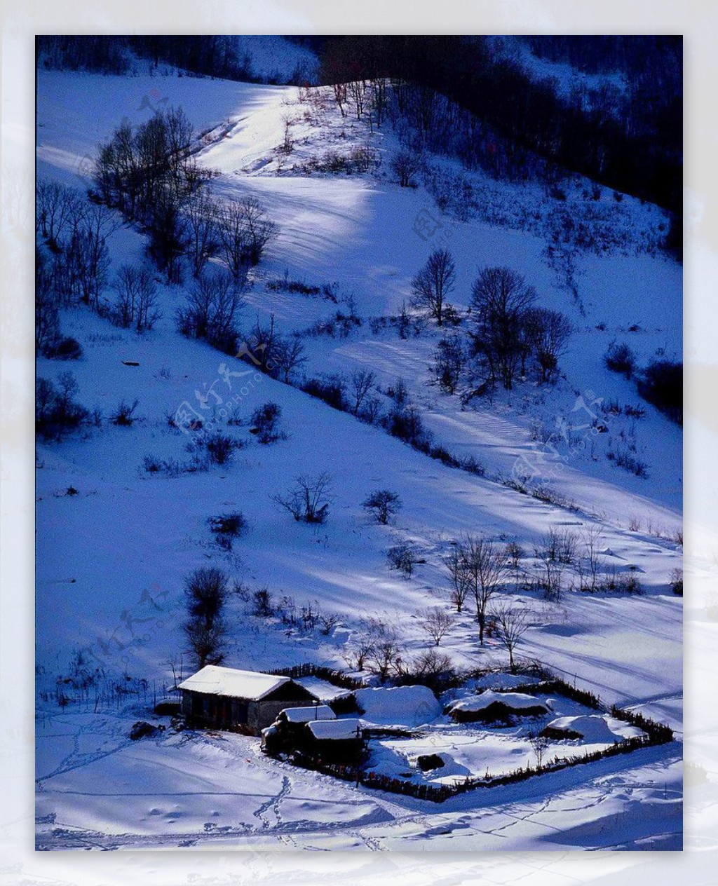 冬季冰雪雾凇图片