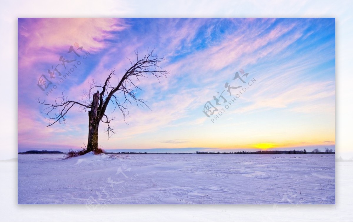 夕阳雪景图片