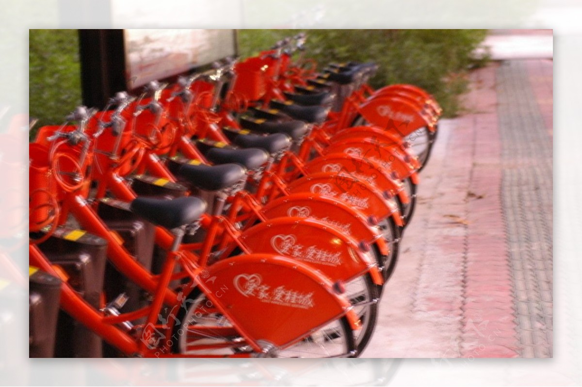 桂城公用自行车图片