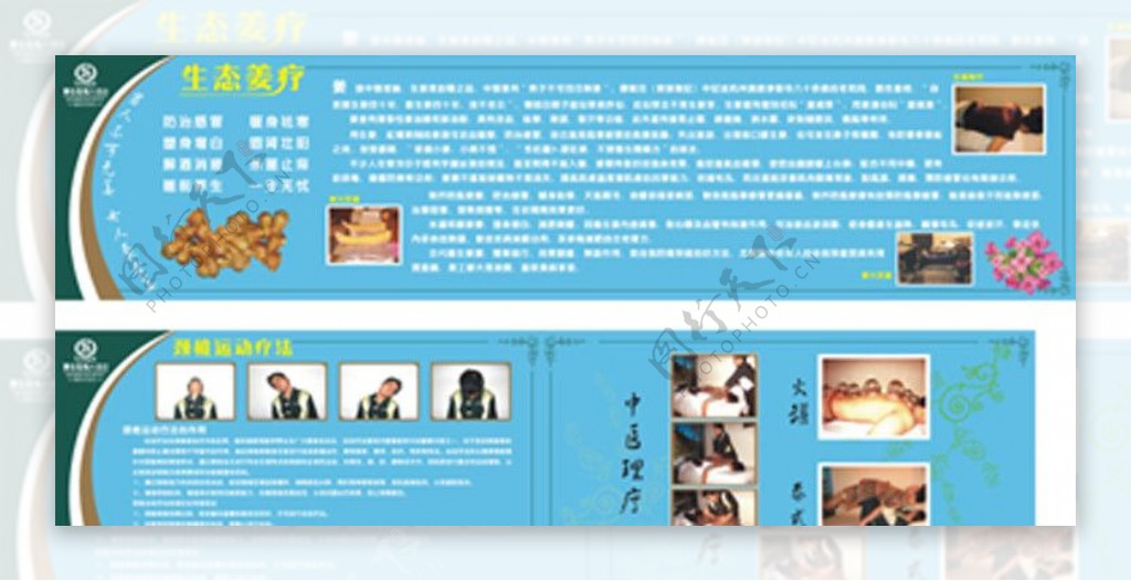 康体姜疗文化宣传境墙报图片