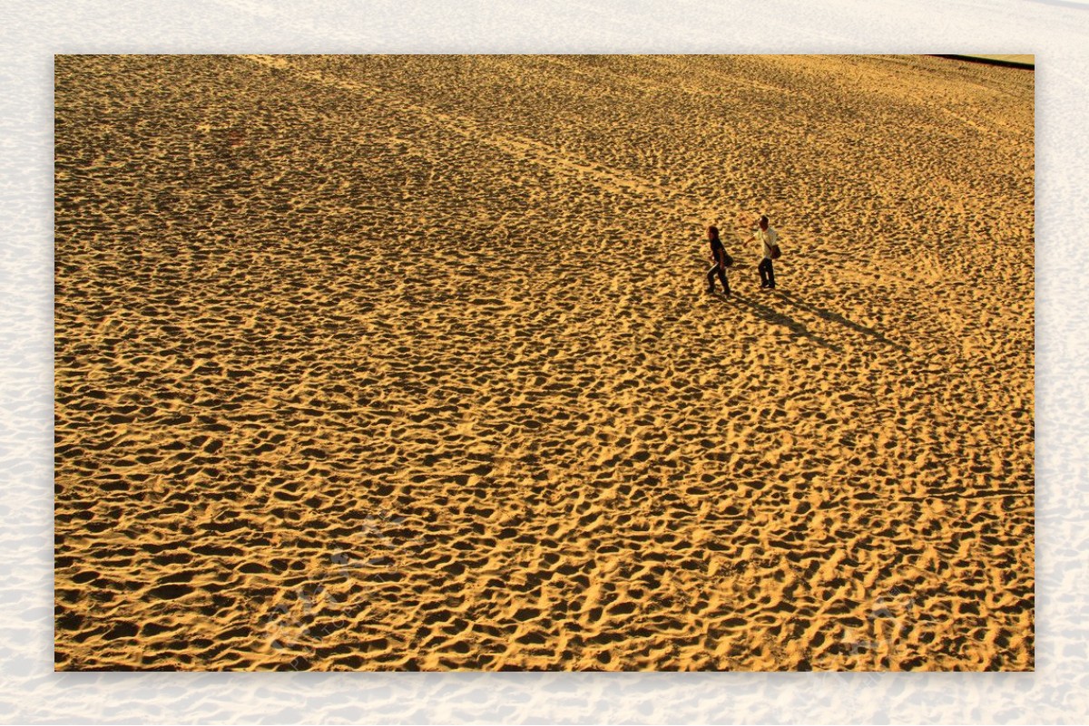 沙漠孤影图片