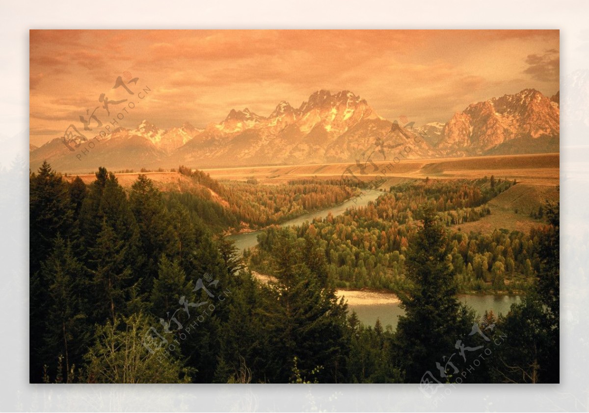 油画般的山和树林图片