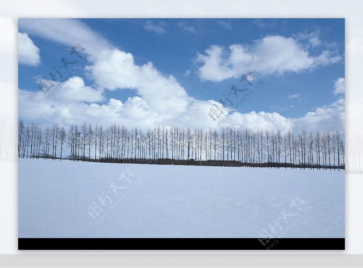 冬季雪景图片