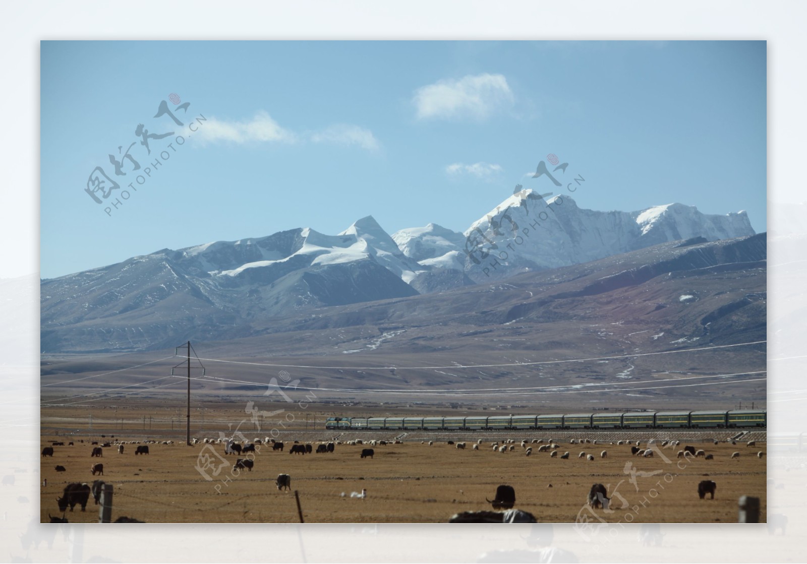 青藏铁路火车雪山图片