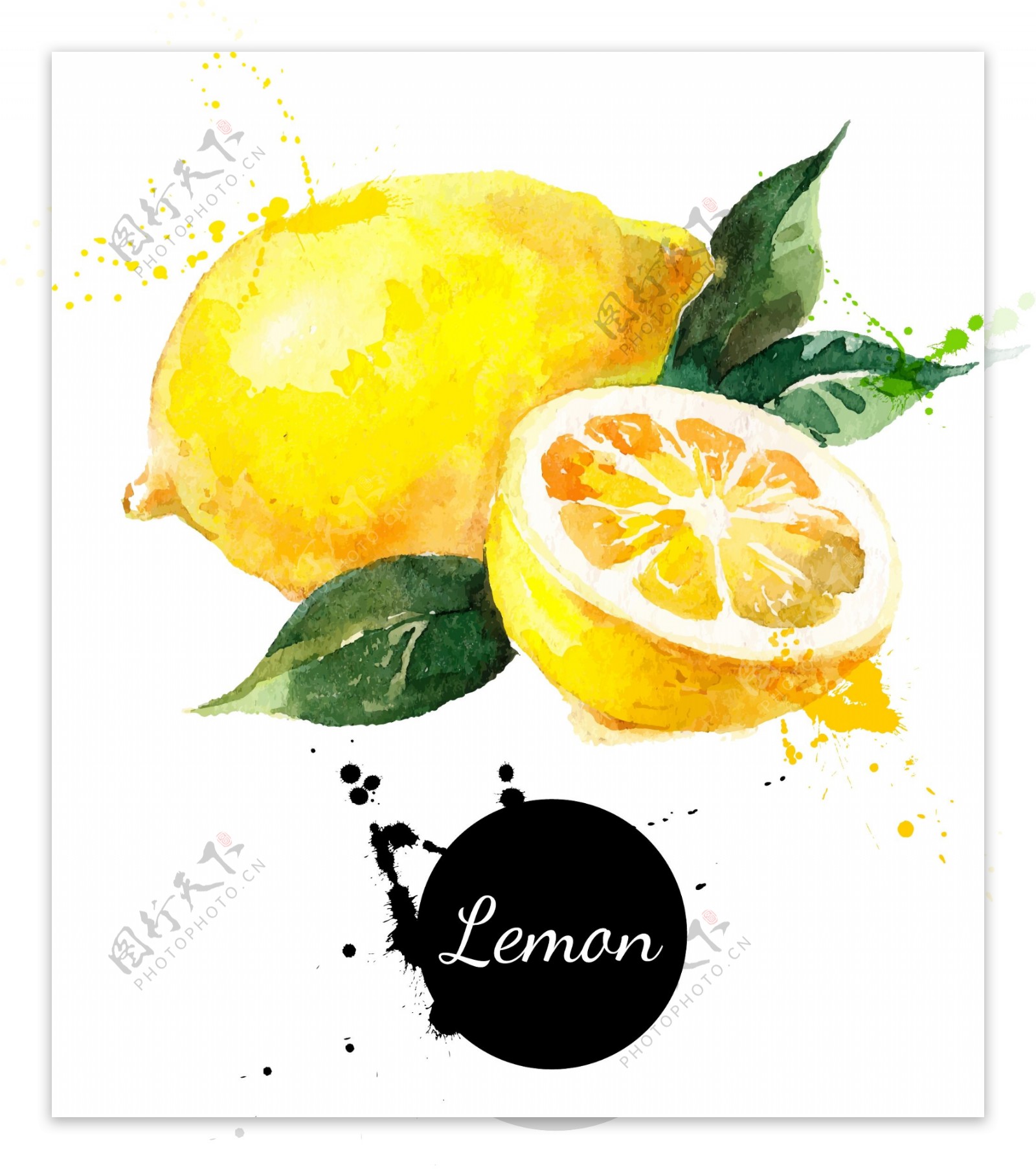 柠檬手绘水果矢量图图片