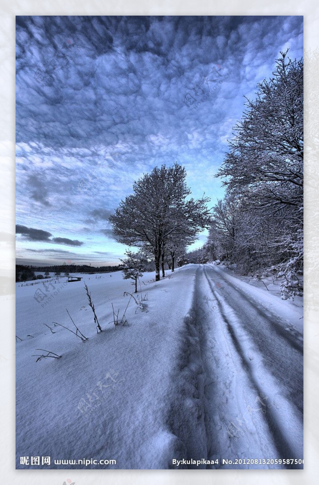 冬天小路雪景图片