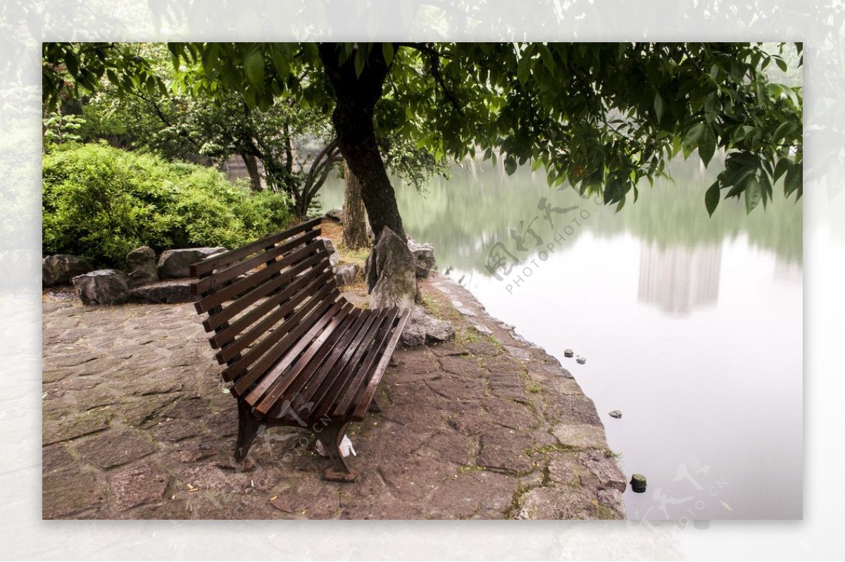 鲁迅公园湖图片