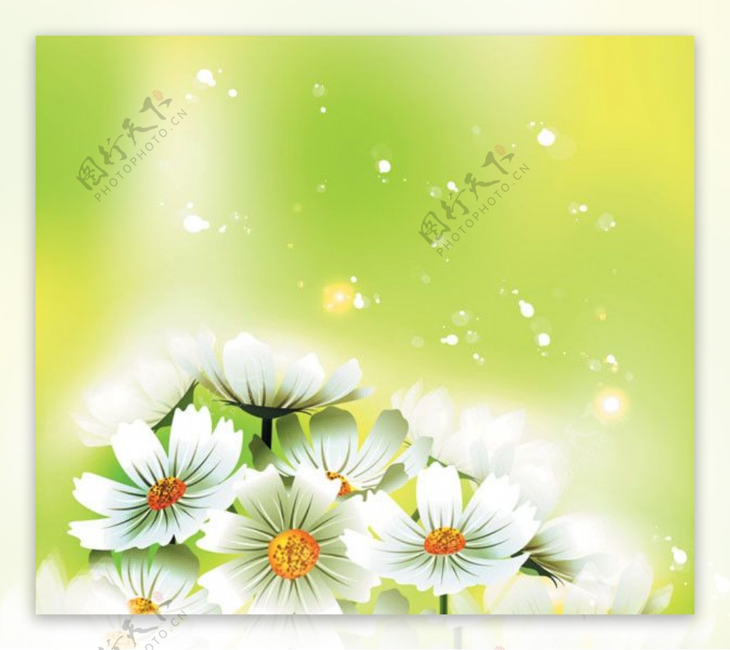 夏季花卉矢量素材图片