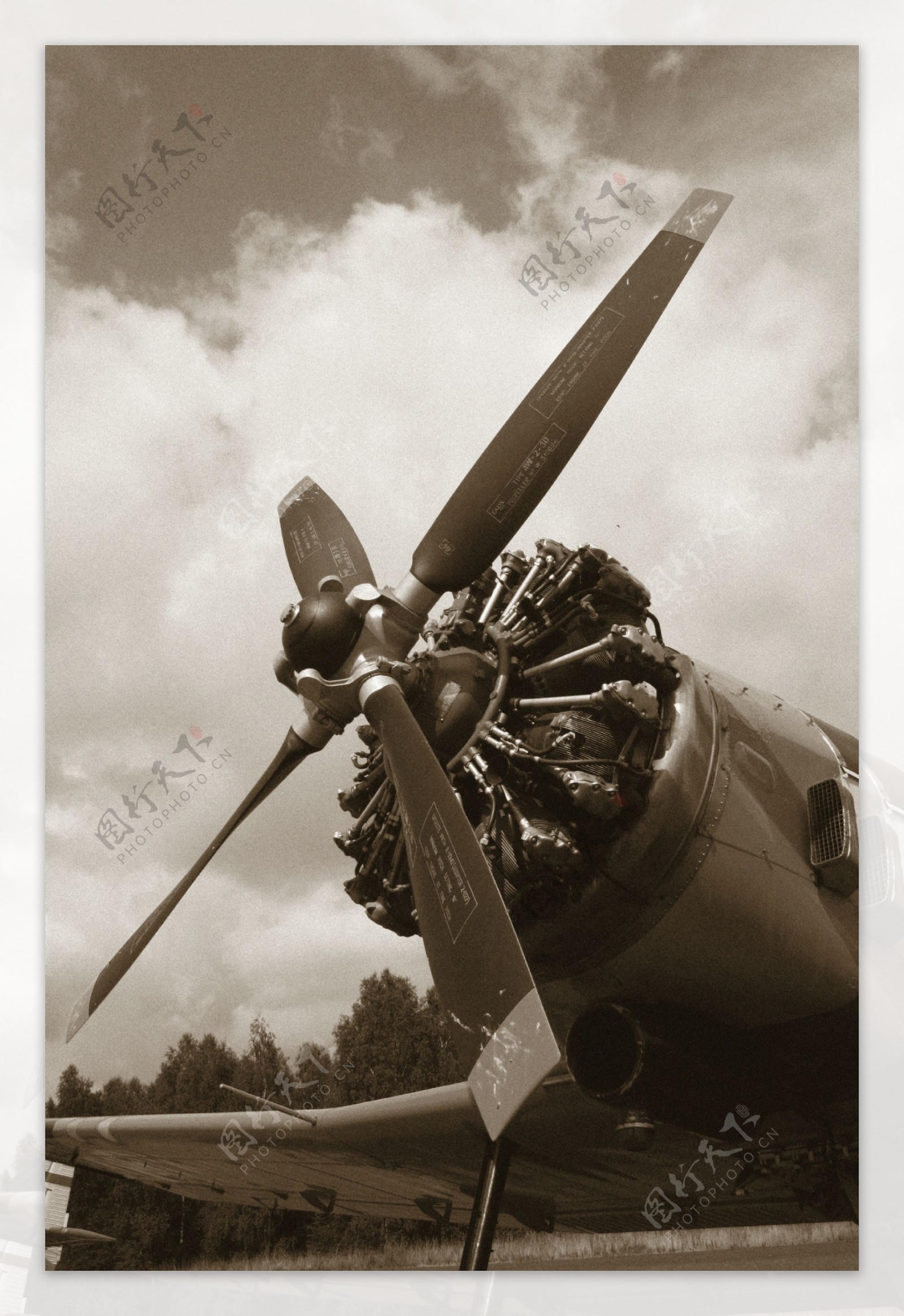 二战飞机图片