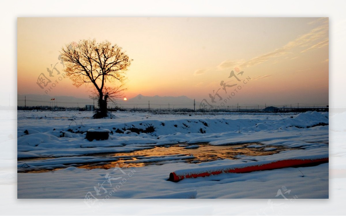 雪野图片