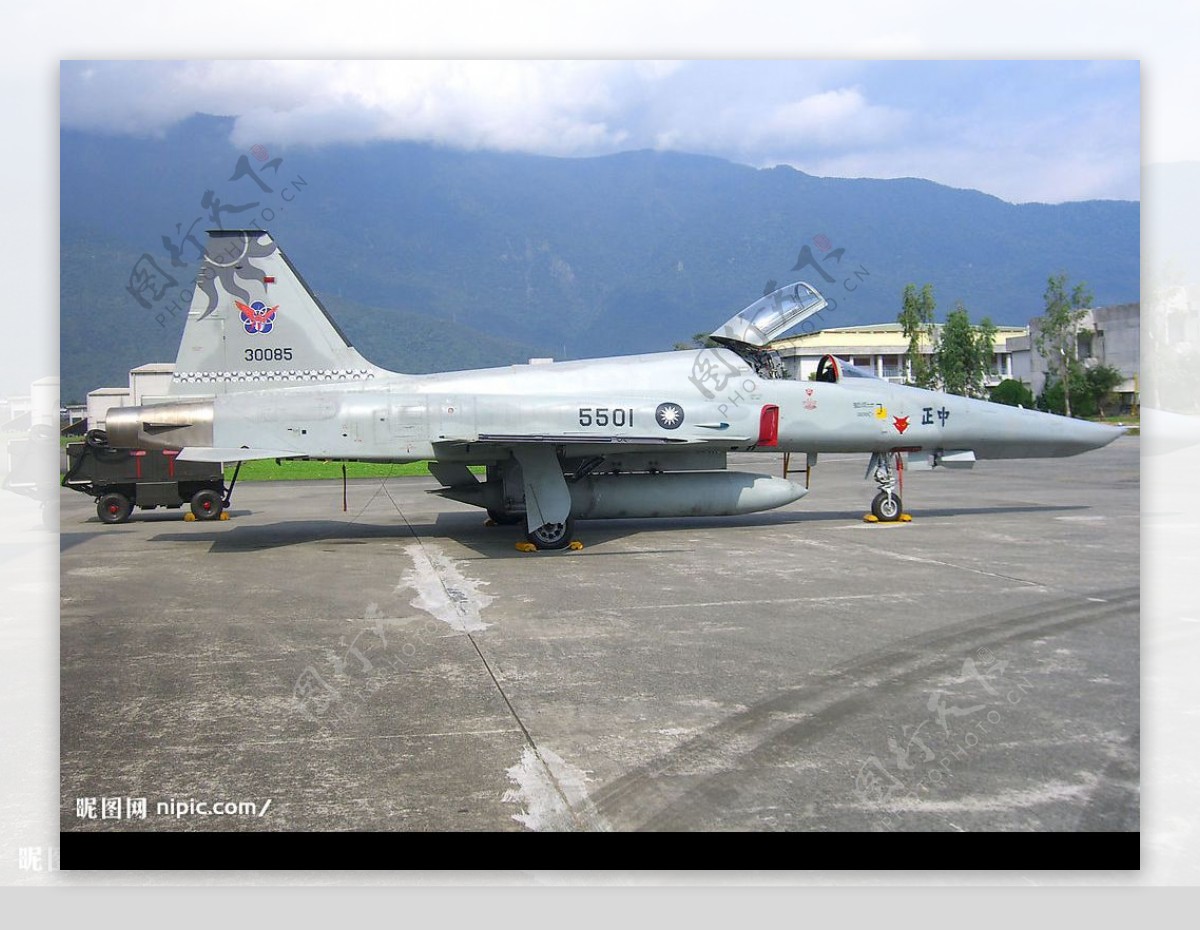 台灣空軍中正號虎式戰鬥機图片