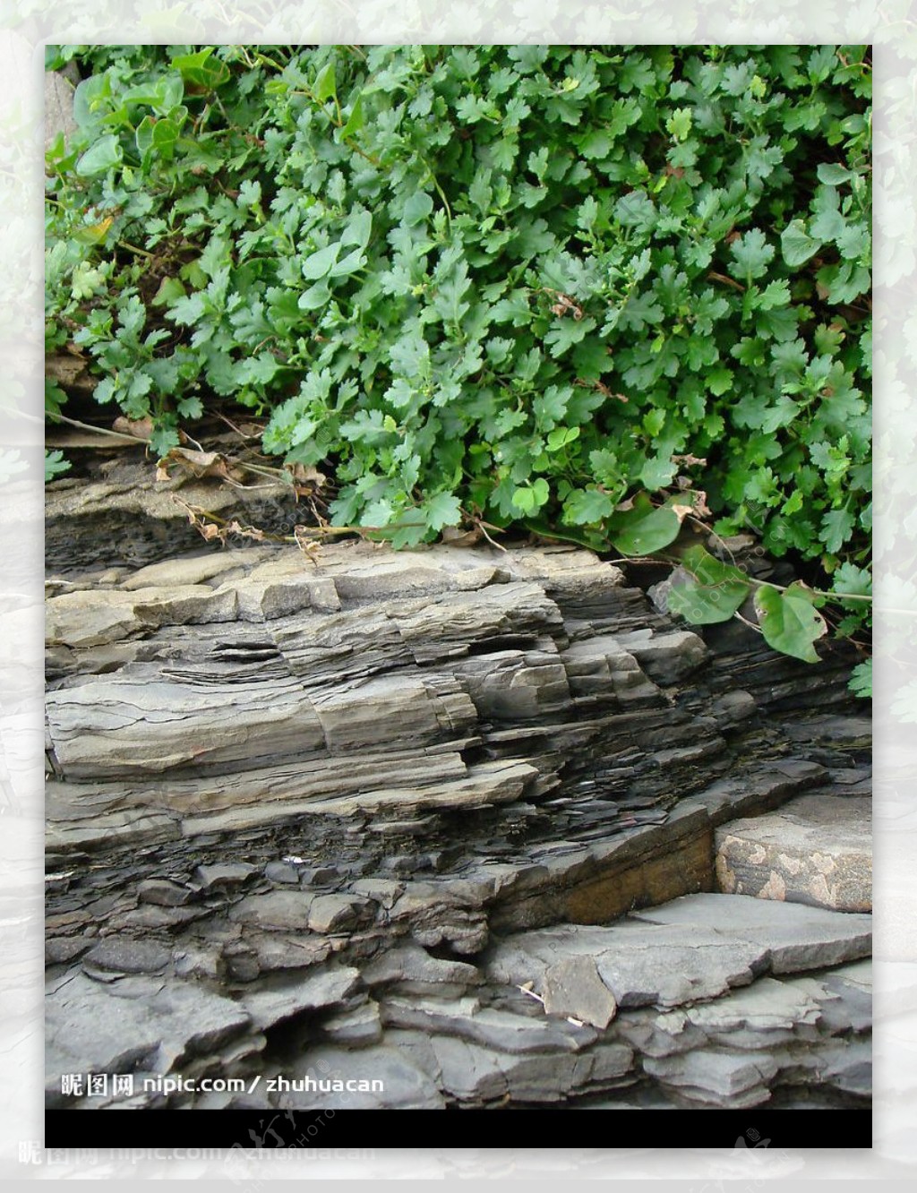 灵山岛岩石1图片