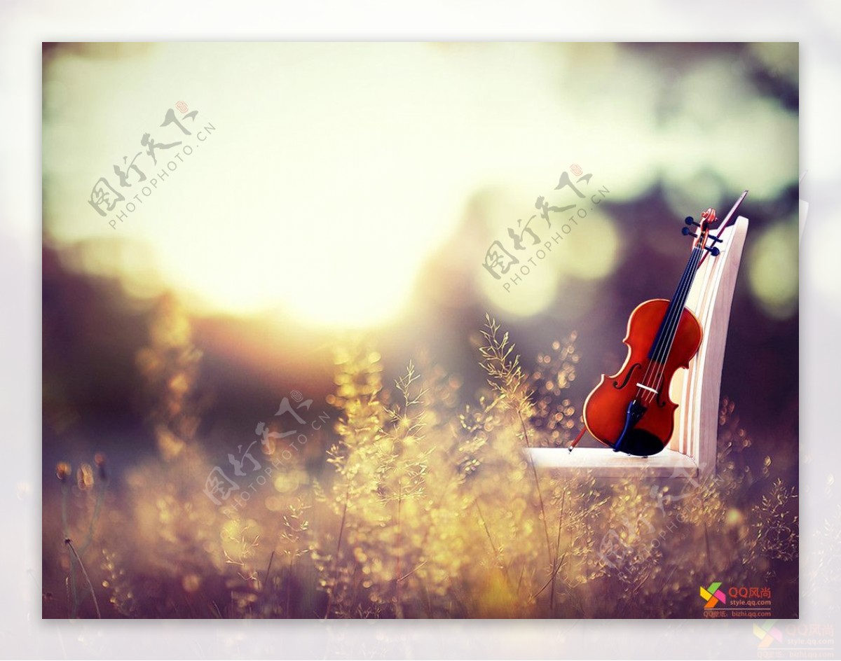 梦幻小提琴图片