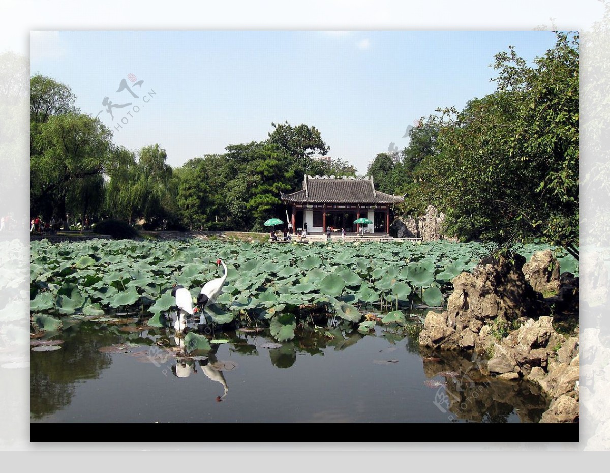 南京莫愁湖图片