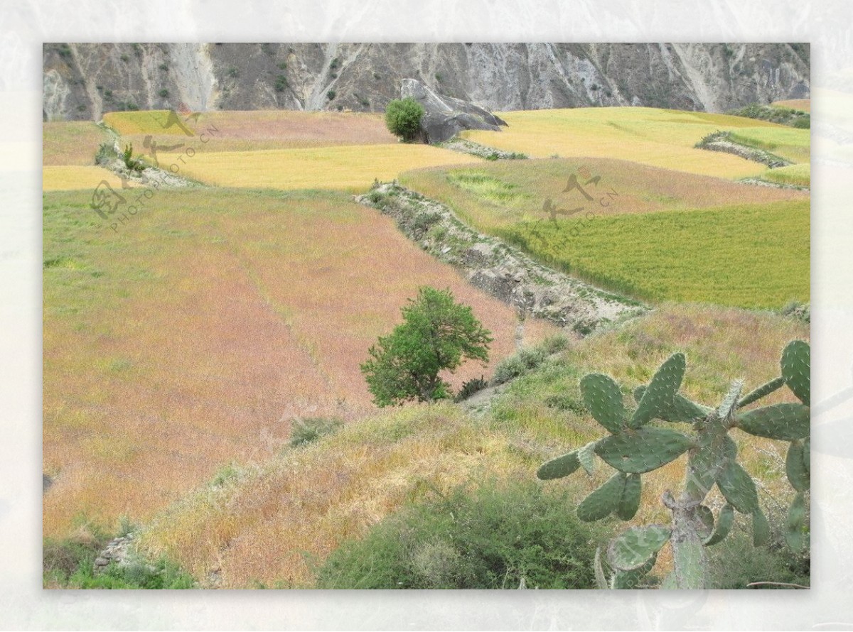 察瓦龙风光图片