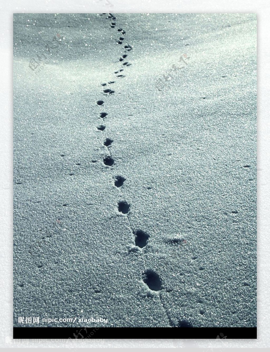 雪中的脚印图片