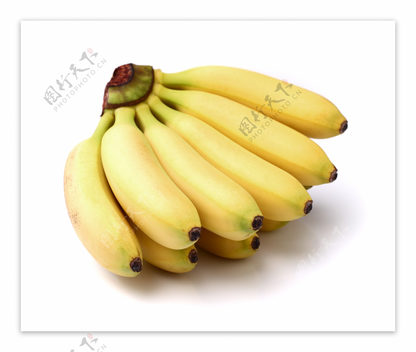 海南小米蕉图片