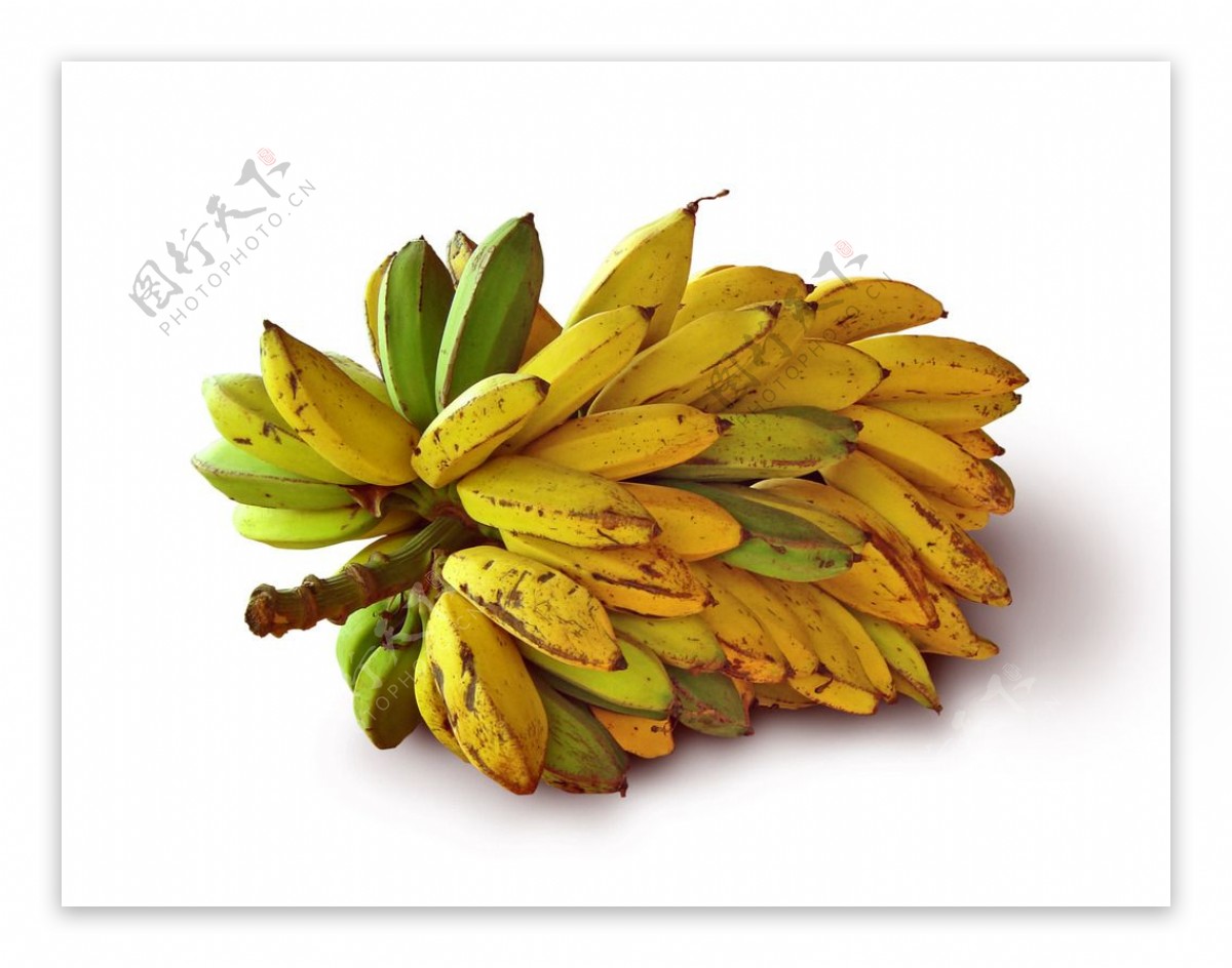 一串米蕉图片