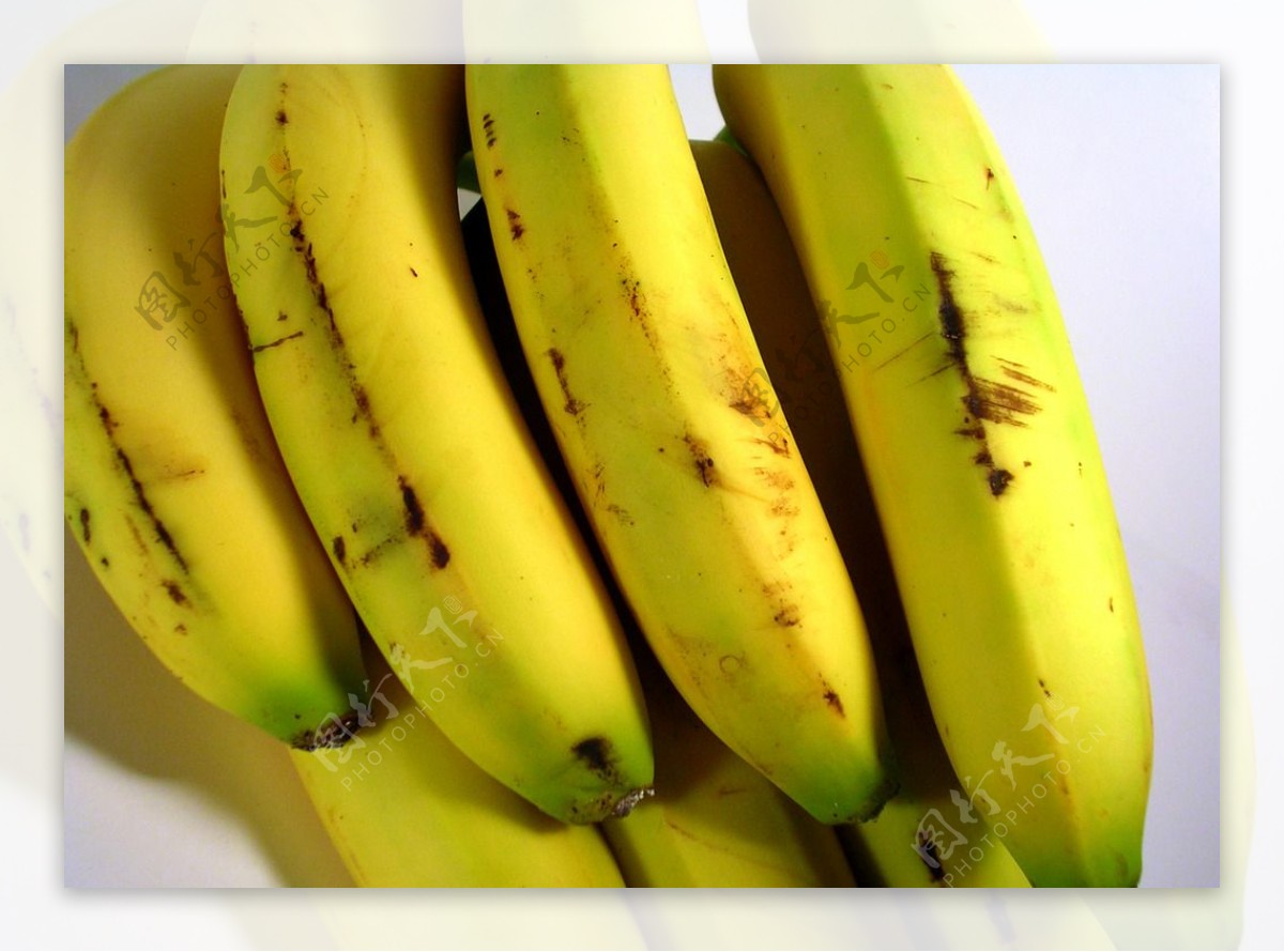 红香蕉,蓝皮香蕉,红香蕉树_大山谷图库
