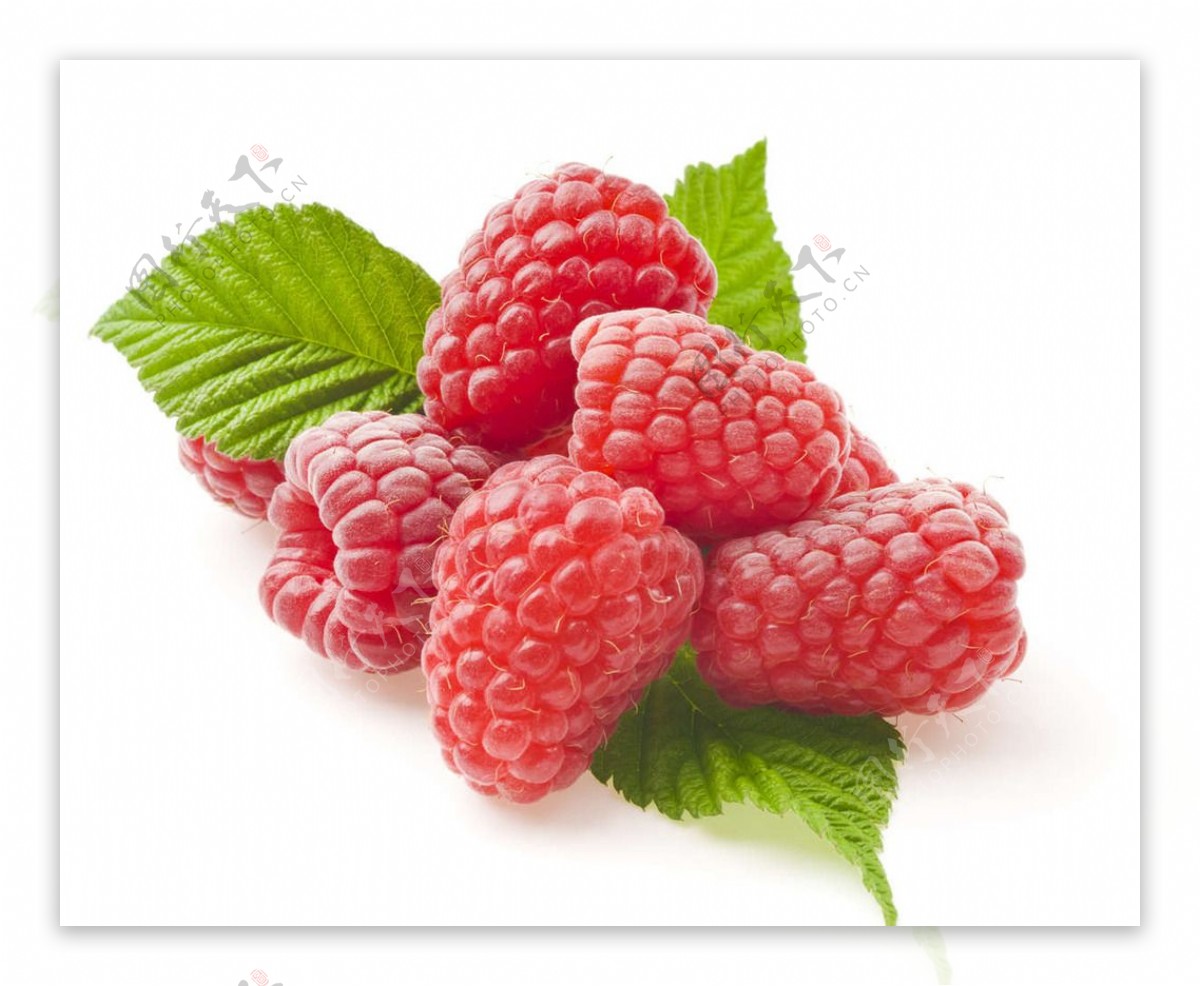 树莓图片素材-编号39721946-图行天下