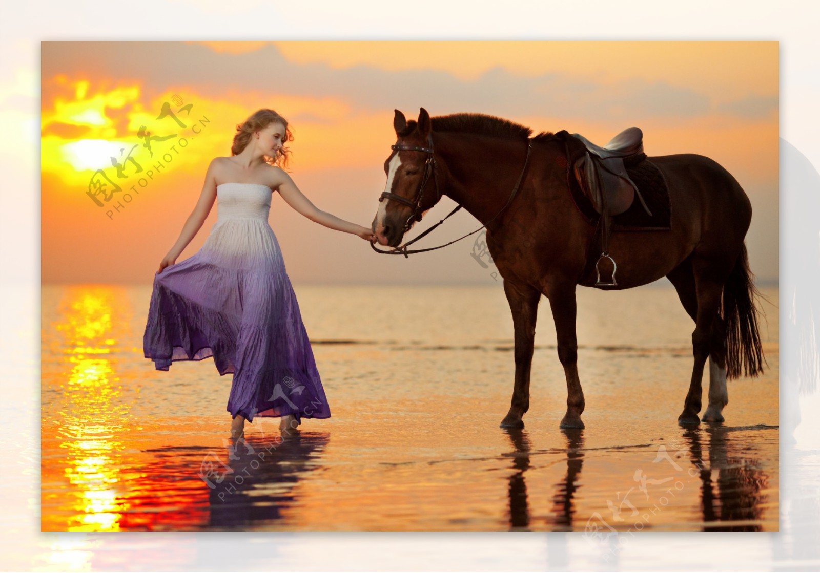 海滩骑马,在海滩上骑马,骑马牵马_大山谷图库
