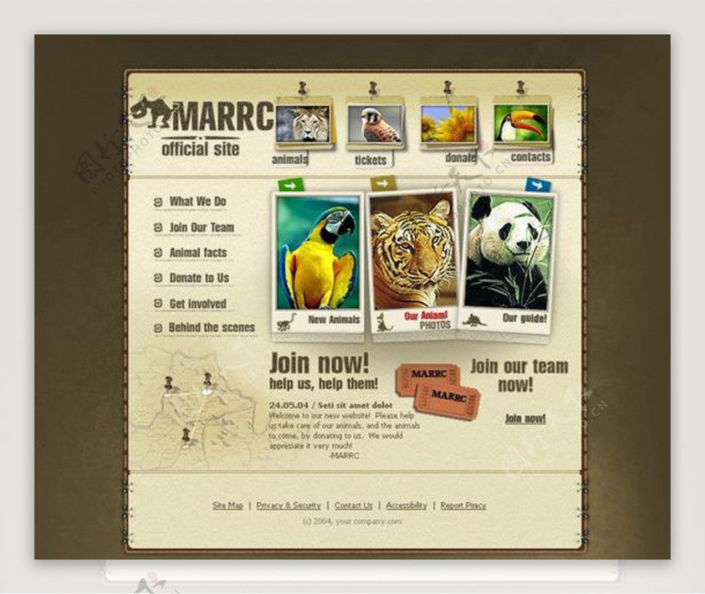 动物网站模板图片