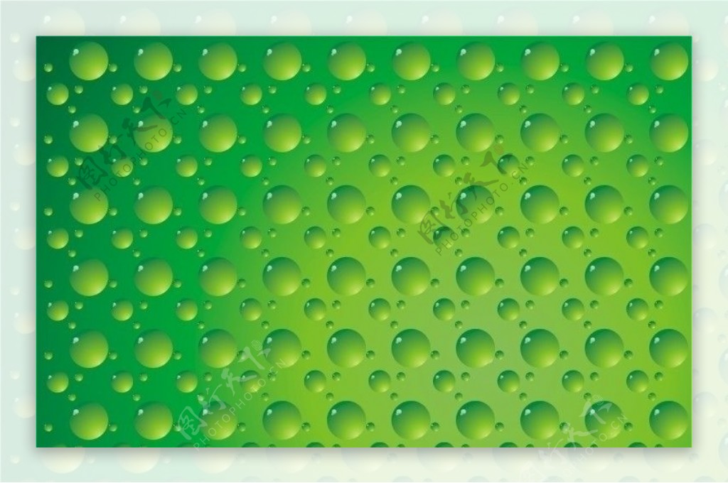 绿色底图水珠底纹背景图片