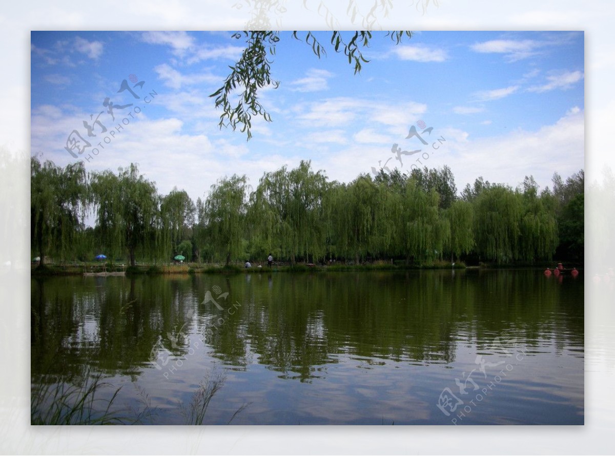 柳林湖风光图片