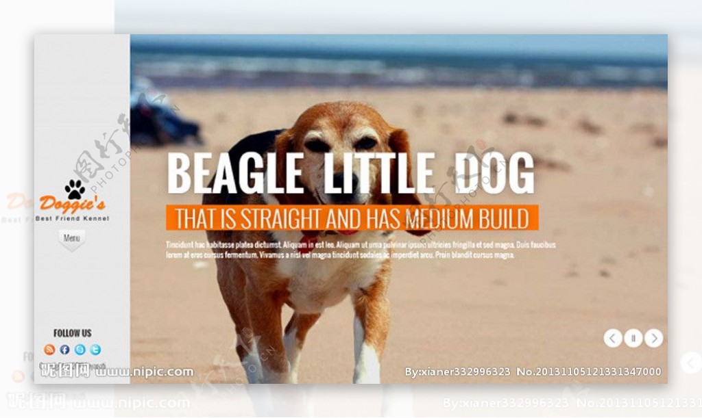 小狗全屏单页网站模板图片