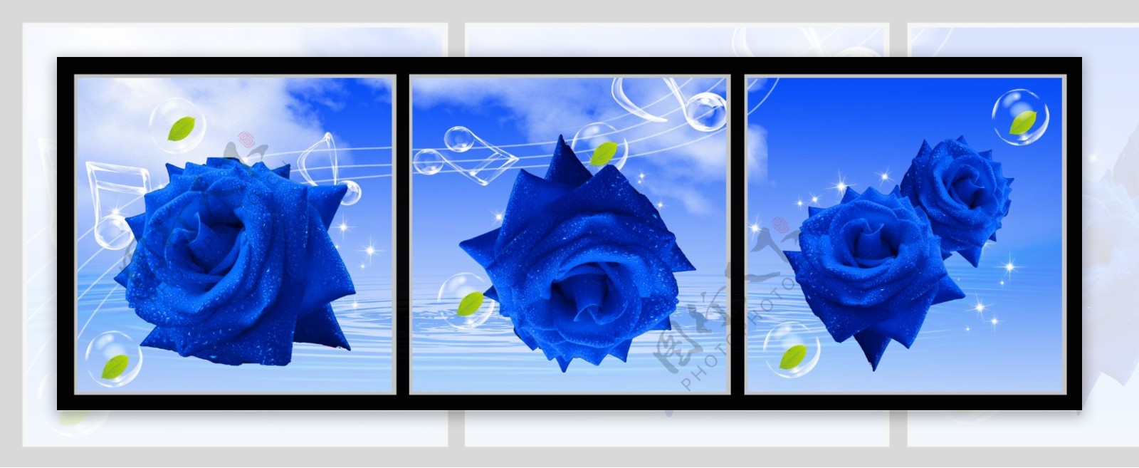 三联无框画中蓝玫瑰图片