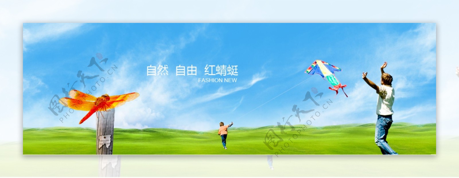 红蜻蜓集团banner设计图片