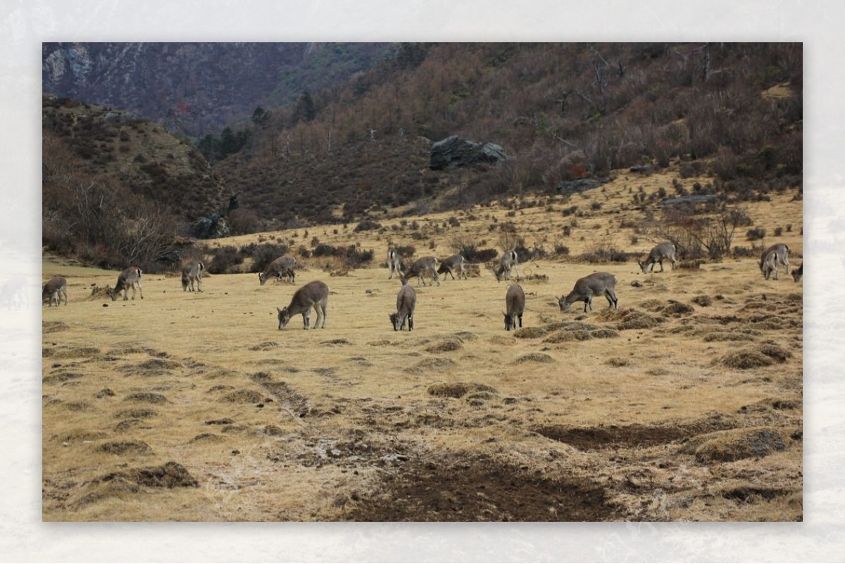 普达措风光图片