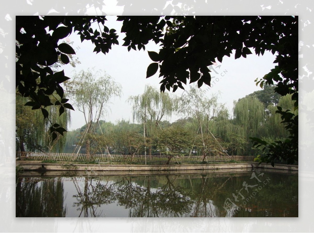 西塘风景图片